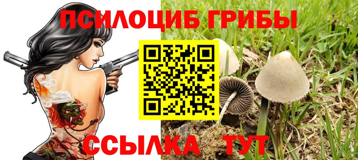 Псилоцибиновые грибы ЛСД  Вход с VPN  Благодарный  Псилоцибиновые грибы MAGIC MUSHROOMS 